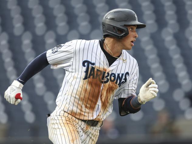Tampa Tarpons in action