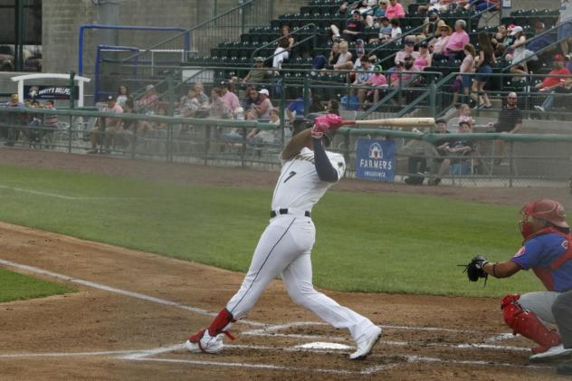 Tri-City Dust Devils' Alexander Ramirez at bat