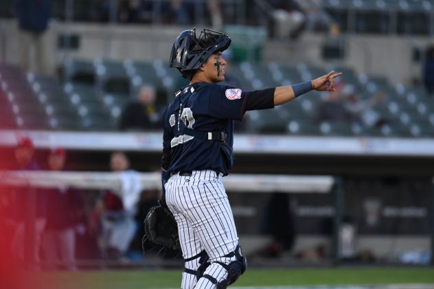 Somerset Patriots' Anthony Seigler on game night