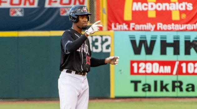 Hickory Crawdads outfielder Geisel Cepeda