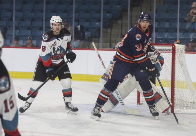 Kelowna Rockets and Kamloops Blazers on the ice