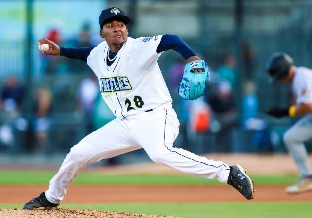 COLUMBIA FIREFLIES' Emmanuel Reyes on the mound