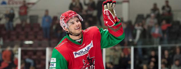 Defenseman Mark Louis