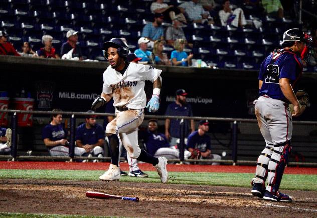Pensacola Blue Wahoos in action