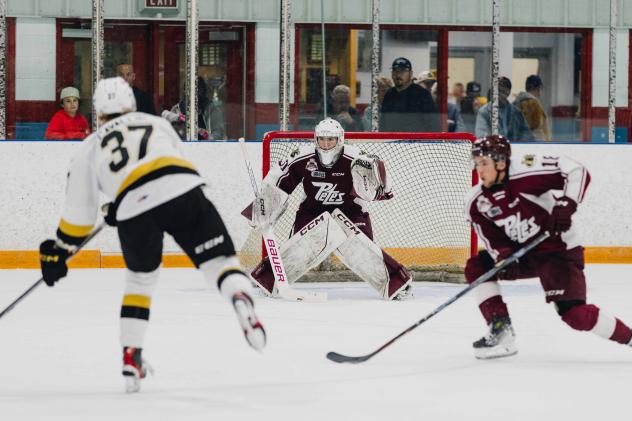 Peterborough Petes' Easton Rye battles Kingston Frontenacs' Adam Cavallin