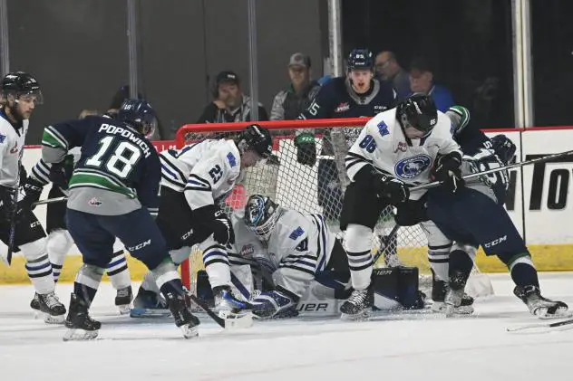 Wenatchee Wild's goaltender Daniel Hauser in action