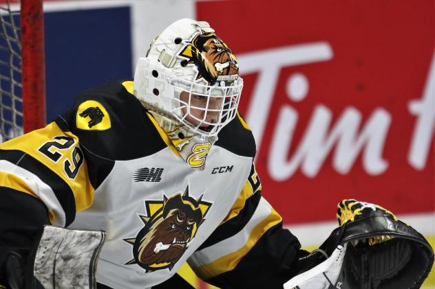 Goaltender Tristan Malboeuf with the Bulldogs