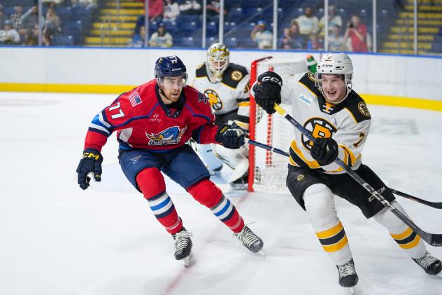 Springfield Thunderbirds' Drew Callin on game night