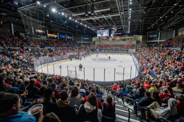 A home crowd watches the Rockford IceHogs
