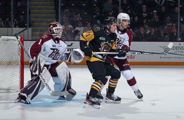Peterborough Petes' Liam Sztuska and Brantford Bulldogs' Noah Nelson on game night