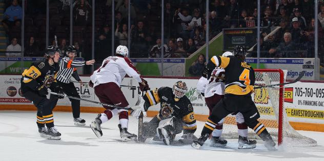 Peterborough Petes battle the Brantford Bulldogs