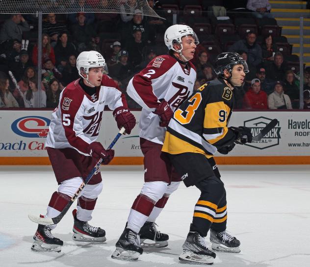 Peterborough Petes' Carson Cameron and Samuel Mayer and Brantford Bulldogs' Patrick Thomas on the ice