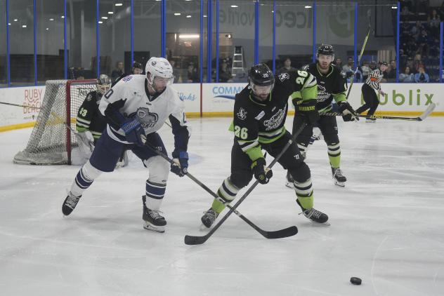 Jacksonville Icemen's Riley Fiddler-Schultz battles Savannah Ghost Pirates' Tanner Vescio