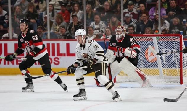 Hershey Bears' Pierrick Dubé and Belleville Senators' Nikolas Matinpalo and Mads Sogaard in action