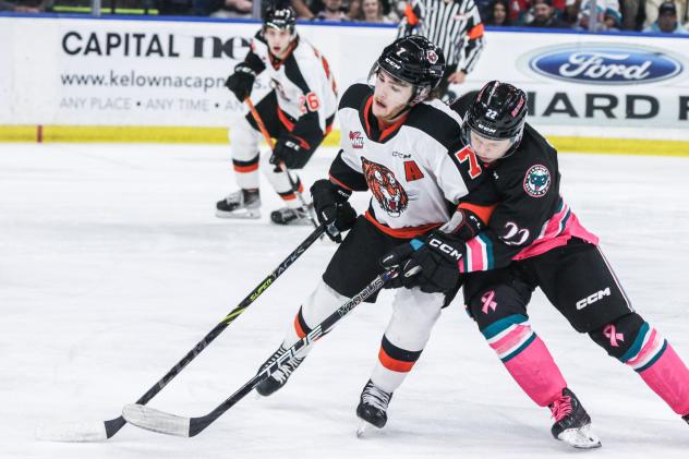 Kelowna Rockets' Max Graham battles Medicine Hat Tigers' Josh Van Mulligen