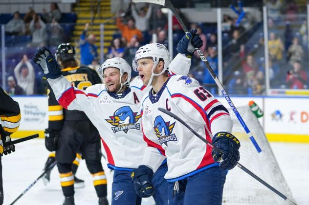 Springfield Thunderbirds celebrate a goal against the Providence Bruins