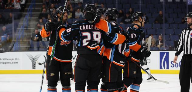 San Diego Gulls' Judd Caulfield celebrates with team