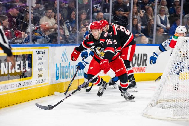 Grand Rapids Griffins' Brogan Rafferty and Tim Gettinger in action