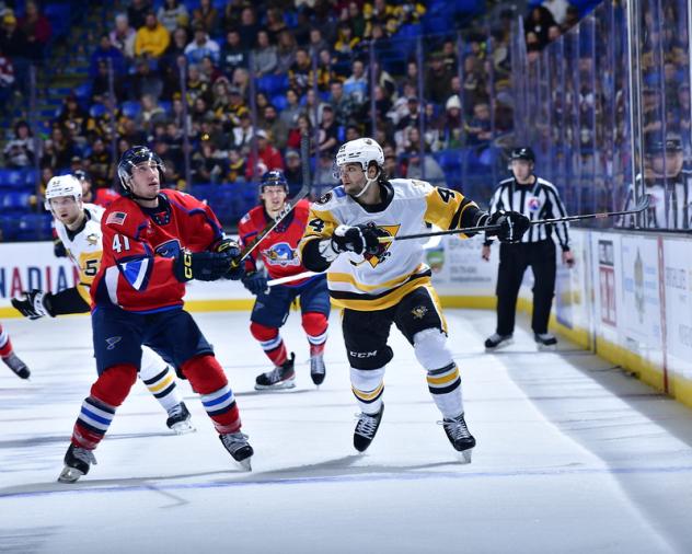 Springfield Thunderbirds' Will Bitten battles Wilkes-Barre/Scranton Penguins' Jonathan Gruden