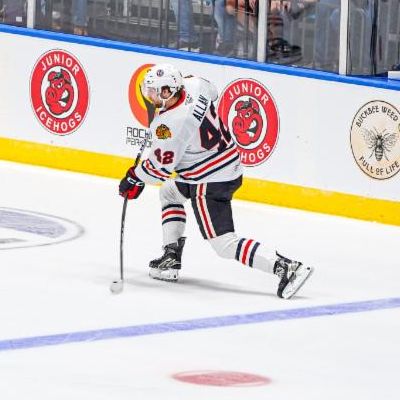 Rockford IceHogs Looking For A Part-Time Hammy