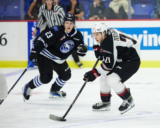Vancouver Giants forward Adam Tiltbach