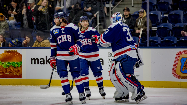 South Carolina Stingrays on the ice