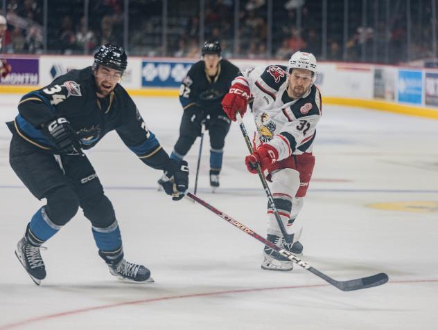 Cleveland Monsters' Cole Clayton battles Grand Rapids Griffins' Tyler Spezia