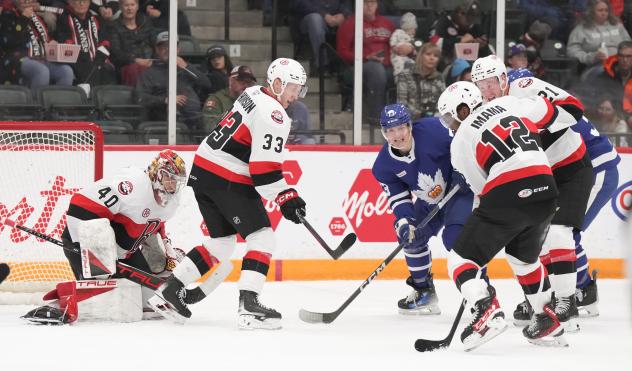 Belleville Senators' Lassi Thomson and Bokondji Imama battle the Toronto Marlies