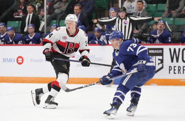 Belleville Senators' Roby Jarventie versus Toronto Marlies' Zach Solow