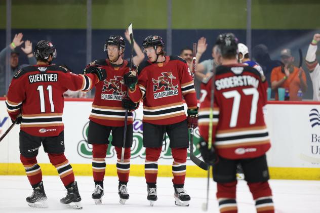 Tucson Roadrunners on game night