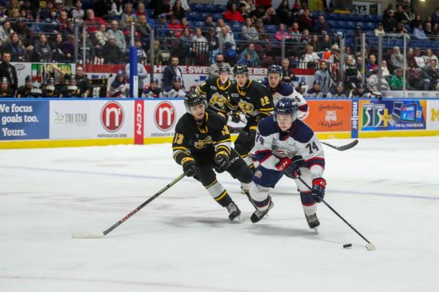 Sarnia Sting's Lukas Fischer and Saginaw Spirit's Valentin Zhugin in action