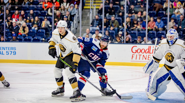 South Carolina Stingrays battle the Newfoundland Growlers