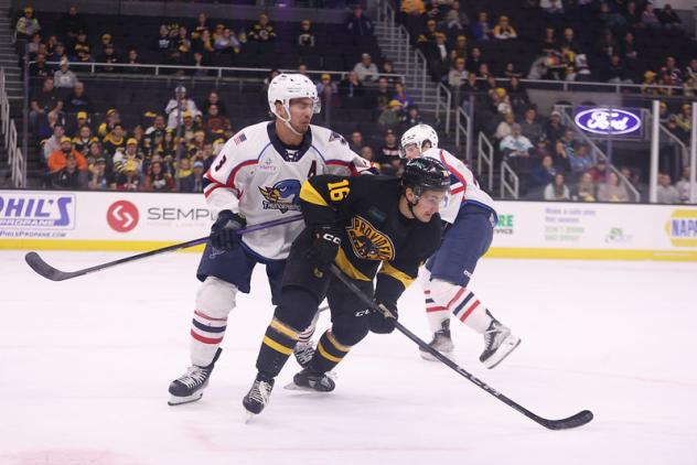 Springfield Thunderbirds vs. the Providence Bruins