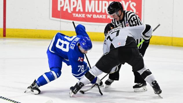 Wichita Thunder and Idaho Steelheads face off