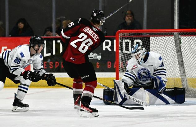 Vancouver Giants' Justin Ivanusec in action