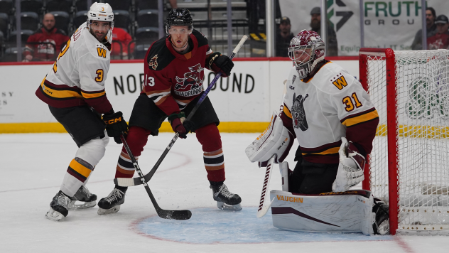 Tucson Roadrunners' Nathan Smith and Chicago Wolves' Tory Dello and Adam Scheel on game night