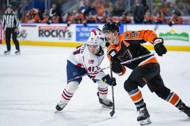 Springfield Thunderbirds' Will Bitten battles Lehigh Valley Phantoms' Tanner Laczynski