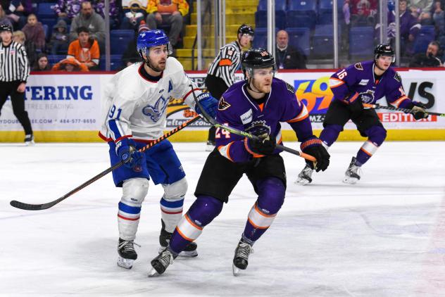Reading Royals forward Jacob Gaucher