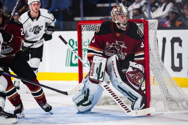 Tucson Roadrunners' Matthew Villalta on game night