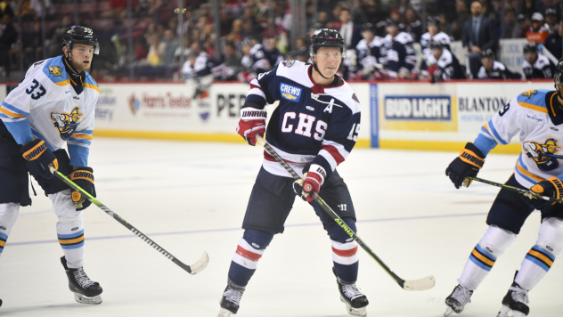 South Carolina Stingrays' Josh Wilkins on the ice