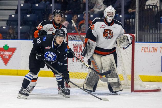 Wenatchee Wild's Evan Friesen and Medicine Hat Tigers' Dru Krebs and Zach Zahara on game night