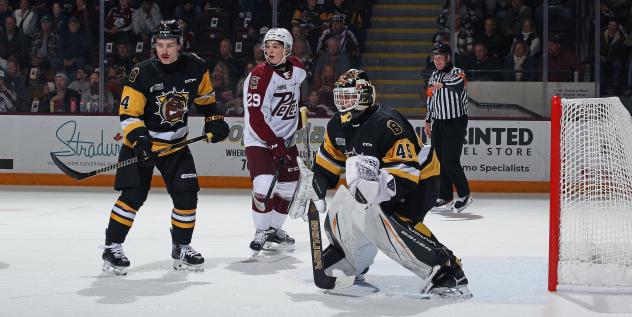 Peterborough Petes right wing Braydon McCallum vs. the Brantford Bulldogs