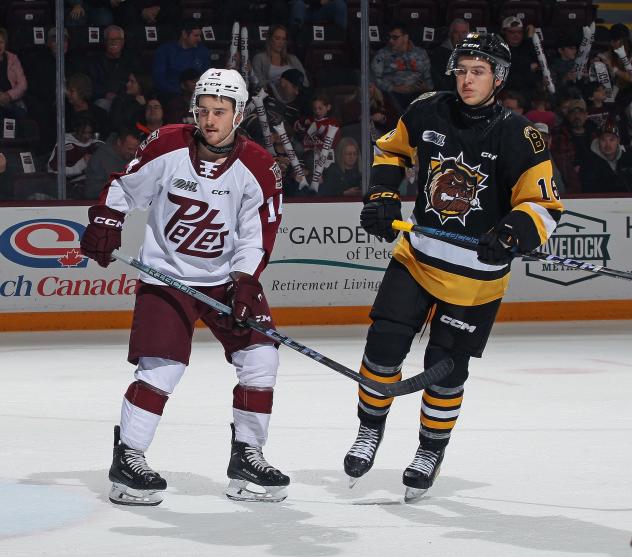 Peterborough Petes left wing Quinton Pagé (left) vs. the Brantford Bulldogs