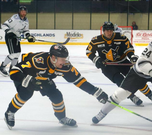 Wheeling Nailers battle the Idaho Steelheads