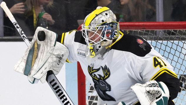 Iowa Heartlanders goaltender Peyton Jones