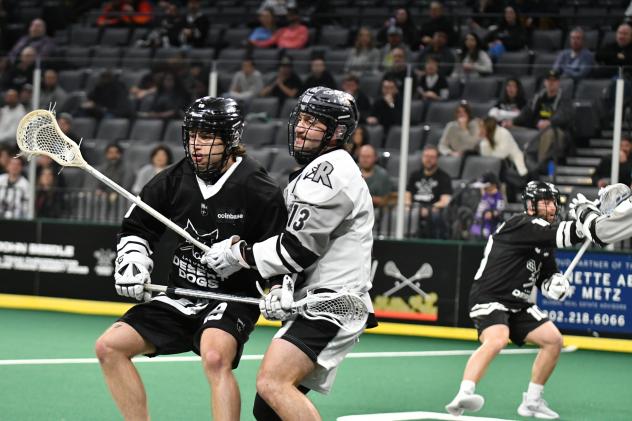 NLL action