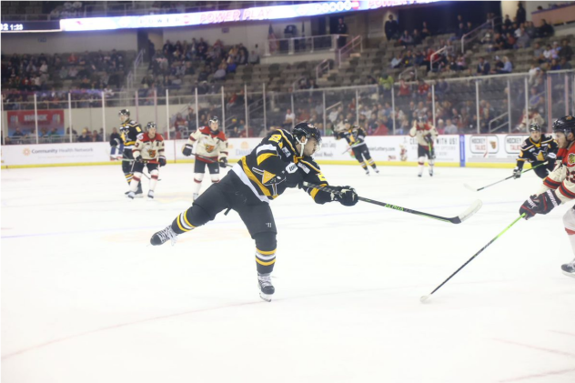 Wheeling Nailers' Cédric Desruisseaux in action