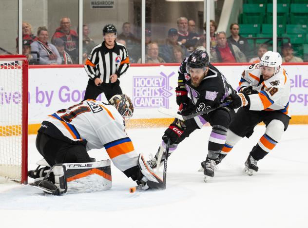 Belleville Senators' Jiri Smejkal in action