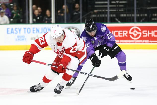 Grand Rapids Griffins' Albert Johansson battles Texas Stars' Mavrik Bourque