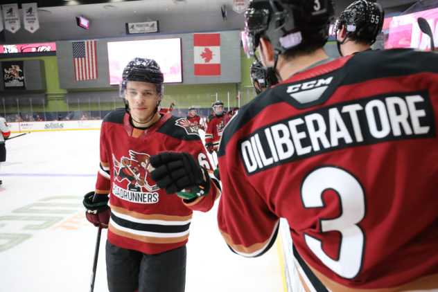 Tucson Roadrunners exchange fist bumps along the bench